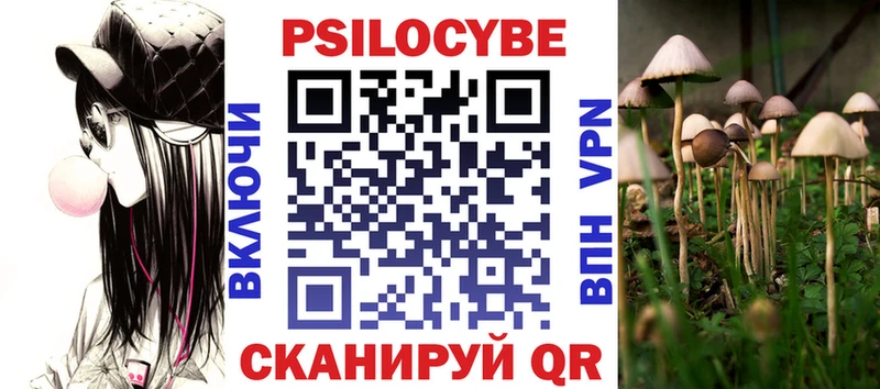 Псилоцибиновые грибы Psilocybine cubensis  Купить где  Чухлома 